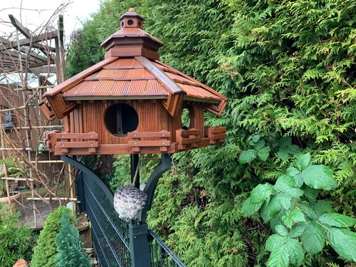 Xxl vogel futter haus - (, m